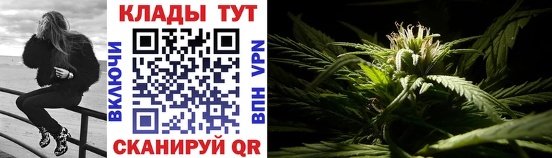 Где можно купить наркотики Лермонтов Кокаин Меф мяу мяу ГАШИШ Alpha PVP БУТИРАТ Конопля